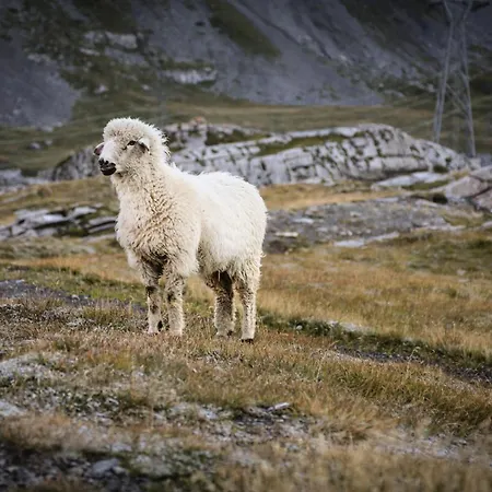 Valere C 211 Appartement Leukerbad