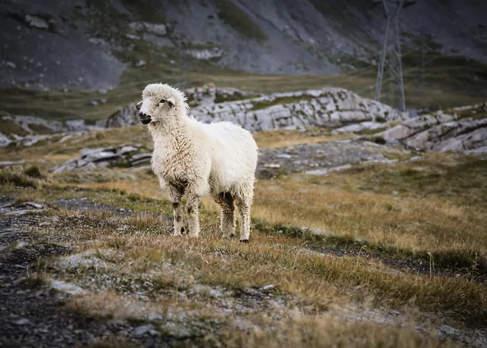 Valere C 211 Apartmán Leukerbad